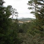 Cambria-Pines-Lodge-046-150x150.jpg