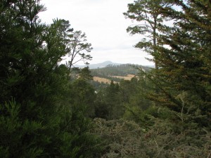 Cambria-Pi...